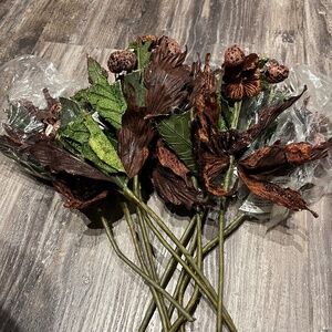 Brown poinsettias picks